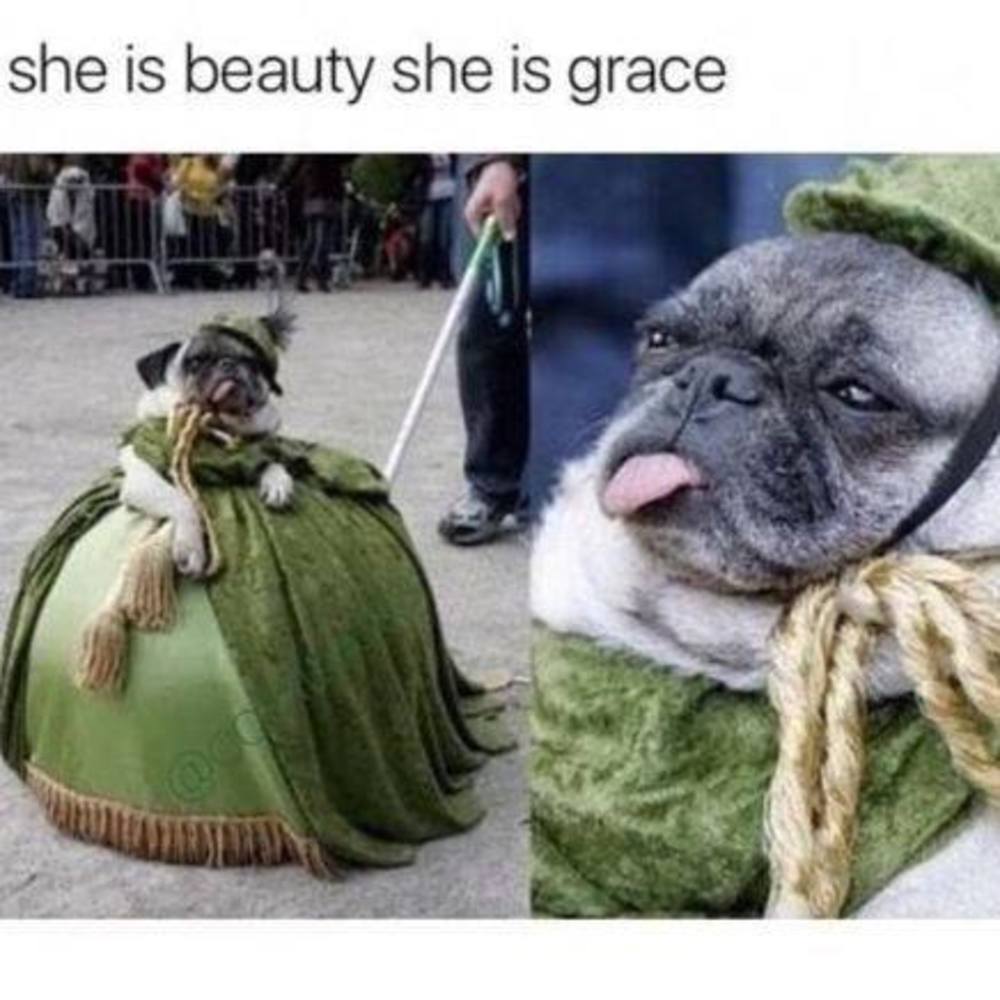 Meet your Posher, Patti